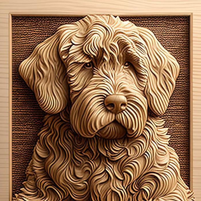 Animals Labradoodle dog